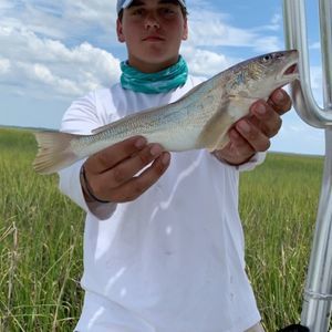 Meet your Posher, Will